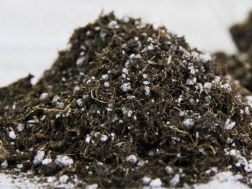 山東陳晨生物科技有限公司專業營養土生產廠家